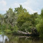 OTRA2014_1555 (September 03, 2014)